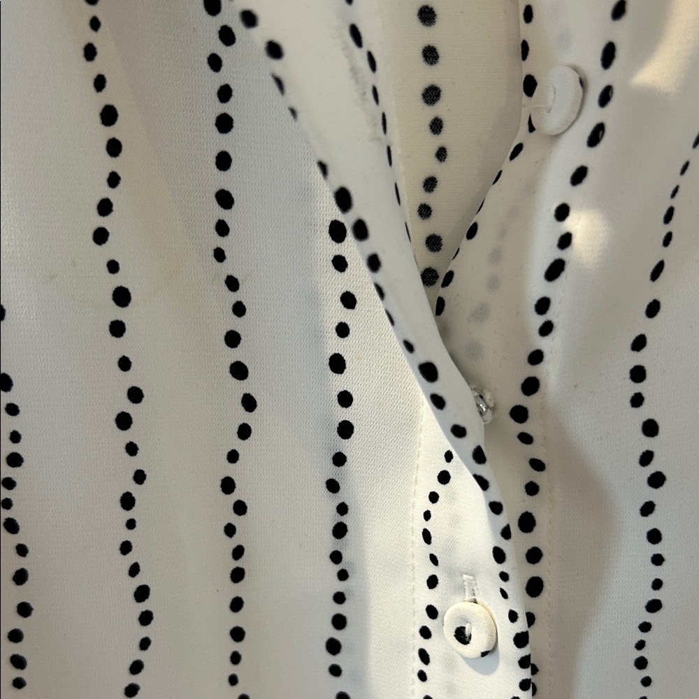 RW&CO. White Button-Up Blouse with Black Dot Stripe - Picture 4 of 5